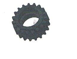 19T Gear 1pc - 10438